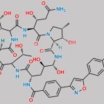 Micafungin-D11 CAS#: N/A