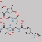 Micafungin Epimer Impurity (USP) CAS#: 1392514-05-4