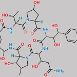 Micafungin Impurity 16 CAS#: 454654-42-3
