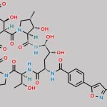 Micafungin Impurity 17 CAS#: 1037032-27-1