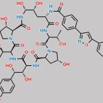 Micafungin Impurity 2 CAS#: N/A