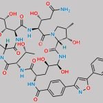 Micafungin Impurity C CAS#: N/A