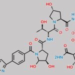 Micafungin Open Ring Analog CAS#: 539823-82-0