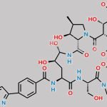 Micafungin Serine Analog Impurity CAS#: 1392514-04-3