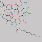 Micafungin FR 901379 CAS#: 144371-88-0