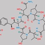 Micafungin Nucleus CAS#: 168110-44-9