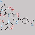 Micafungin Sodium CAS#: 208538-73-2