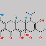 Minocycline Aminoethyl Derivative CAS#: 4756-93-8
