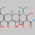Minocycline Hydrochloride CAS#: 13614-98-7
