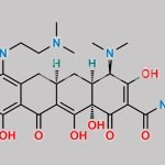 Minocycline Impurity 1 CAS#: N/A