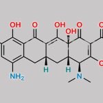 Minocycline Impurity 15 CAS#: N/A