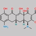 Minocycline Impurity 16 CAS#: N/A