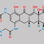Tigecycline Impurity 13 CAS#: N/A