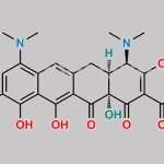 Minocycline Impurity 2 CAS#: N/A