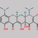 Minocycline Impurity 23 CAS#: 149934-28-1