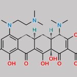 Minocycline Impurity 26 CAS#: N/A
