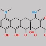 Minocycline Impurity 29 CAS#: N/A