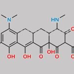 Minocycline Impurity 30 CAS#: N/A