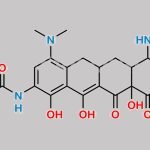 Tigecycline Impurity 19 CAS#: N/A