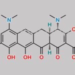 Minocycline Impurity 33 CAS#: N/A