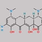 Minocycline Impurity 34 CAS#: 156263-28-4