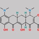 Minocycline Impurity 4 CAS#: N/A