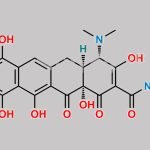 Minocycline Impurity 6 CAS#: N/A