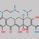 Minocycline Impurity 7 CAS#: N/A