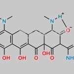 Minocycline Impurity 9 CAS#: N/A