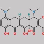 Minocycline 9-Methylamino Impurity CAS#: 607402-73-3