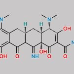 Minocycline EP Impurity E CAS#: 864073-42-7