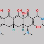 Minocycline EP Impurity F CAS#: 1075240-33-3