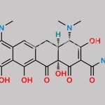 Minocycline EP Impurity H CAS#: 1346598-44-4