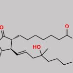 Misoprostol Acid CAS#: 66792-31-2