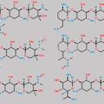 Mixture of N-nitroso Gentamicin CAS#: N/A