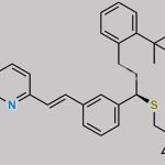 Montelukast Potassium CAS#: 577953-87-8