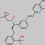 Montelukast R-Sulfoxide CAS#: 184763-47-1