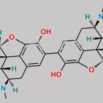 Morphine EP Impurity B CAS#: 125-24-6