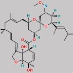 Moxidectin EP Impurity B CAS#: N/A