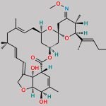 Moxidectin EP Impurity C CAS#: N/A
