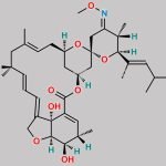 Moxidectin EP Impurity E CAS#: 2482741-71-7
