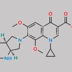 Moxifloxacin EP Impurity B CAS#: 1029364-73-5