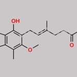 Mycophenolate Mofetil EP Impurity E CAS#: 31858-66-9