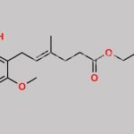 Mycophenolate Mofetil EP Impurity G CAS#: 224052-51-1