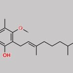 Mycophenolate Mofetil Impurity 4 CAS#: 1070228-90-8