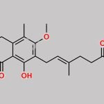 Mycophenolate Mofetil Impurity 8 CAS#: N/A