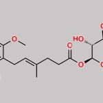 Mycophenolic Acid Acyl Glucuronide CAS#: 99043-04-6