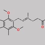 Mycophenolic Acid O-Methyl Impurity CAS#: 38877-93-9