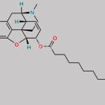 Myrophine CAS#: 467-18-5