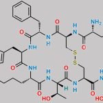 N-Acetyl-Lys-Octreotide CAS#: 173606-11-6